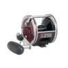 Penn Special Senator Star Drag Reels