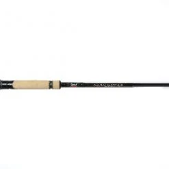 Jigging World Night Ranger Spinning Rods