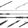 Jigging World Black Widow Casting Rods