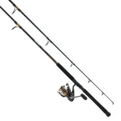 Daiwa BG Saltwater Spinning Combos