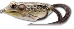 Live Target Hollow Body Frogs