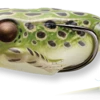 Live Target Hollow Body Frogs