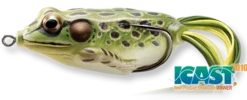 Live Target Hollow Body Frogs