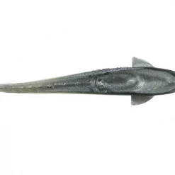 NLBN No Live Bait Needed 5" Lil Mullets 11 NLBN No Live Bait Needed 5