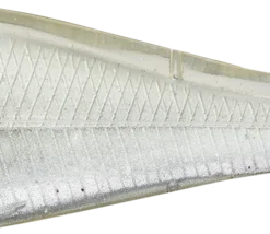 Live Target Skip Shads