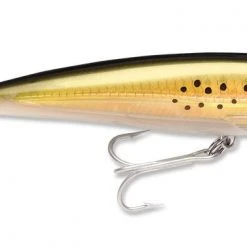 Lures Rapala X-Rap Saltwater Jerkbaits