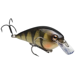 Lures Strike King KVD Squarebill 1.5 Silent Crankbaits