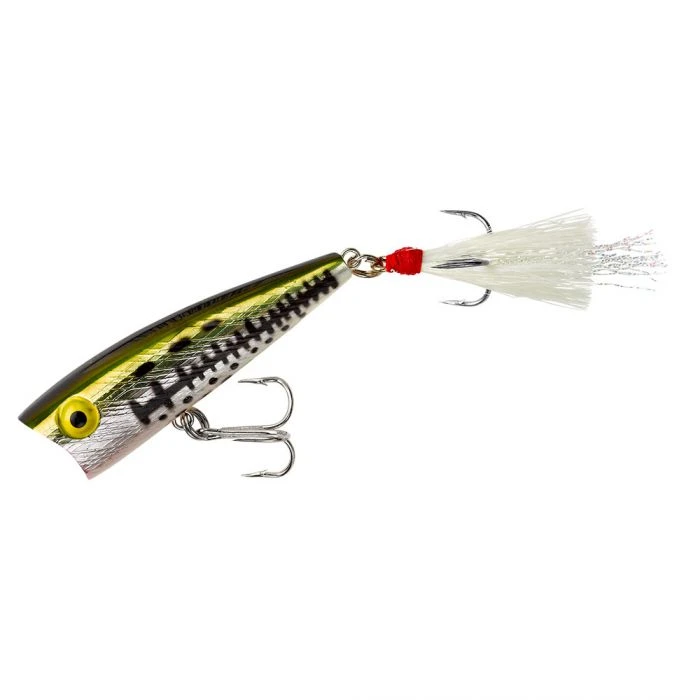 Lures Rebel Pop-R Poppers 6 Lures Rebel Pop-R Poppers