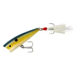 Lures Rebel Pop-R Poppers 11 Lures Rebel Pop-R Poppers