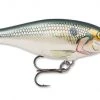 Rapala Shadow Shad Rap Jerkbaits