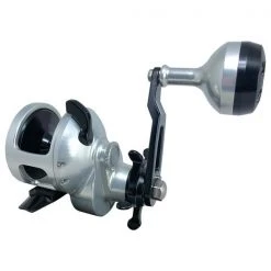 Accurate Tern Star Drag Reels